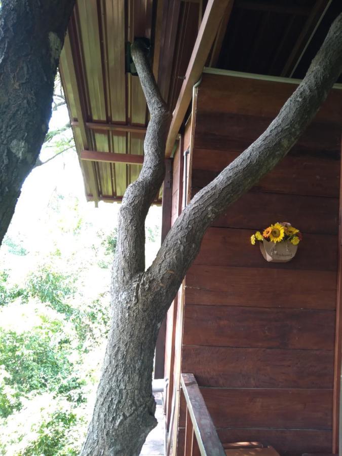 Dambulla Tree House Villa Ngoại thất bức ảnh